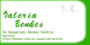 valeria benkes business card